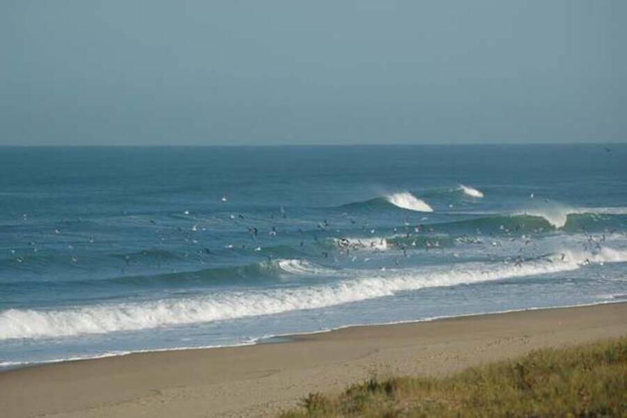 Surfing South West France