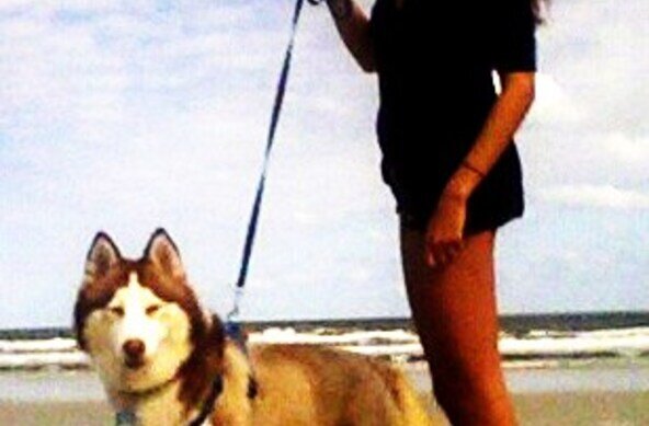 St. Augustine Beach surfer girl and her Siberian Husky 