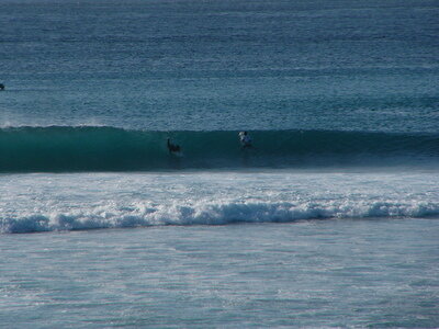 Surf and Study on Bali