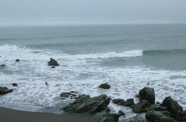 Punta de Lobos | Chile