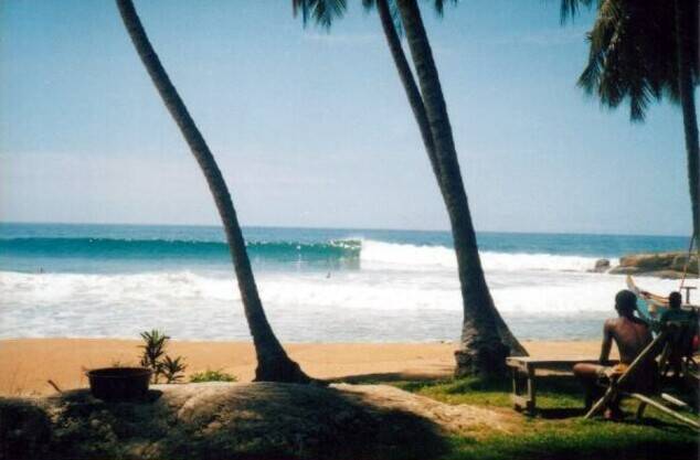 Drewin Spot
