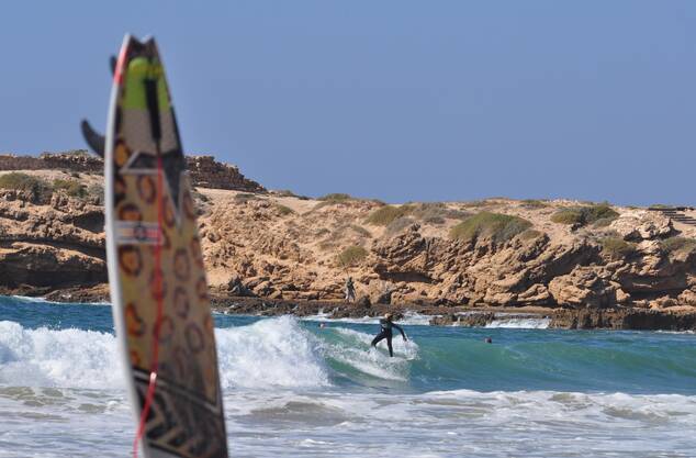 Surf Discovery 