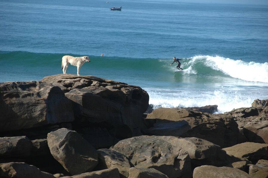Surfing in Taghazout | Many surf spots are within walking distance