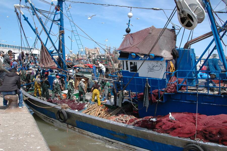 Essaouira - Fischer im Hafen entladen den Fang des Tages