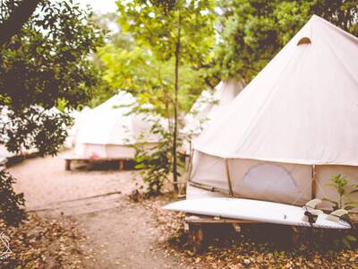 Dreamsea Surf Camp France